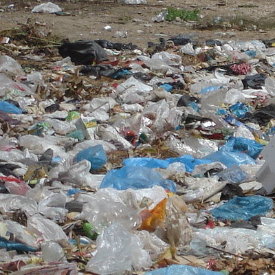 plastic bags pollution