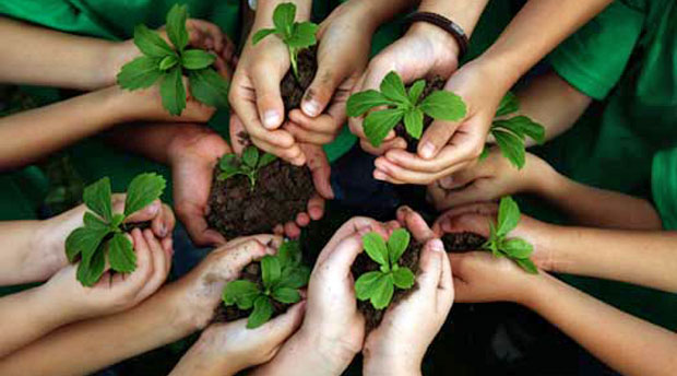 The Concept Of Environmental Education EcoMENA