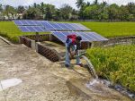 How Agricultural Sector Can Help the Renewable Energy Sector